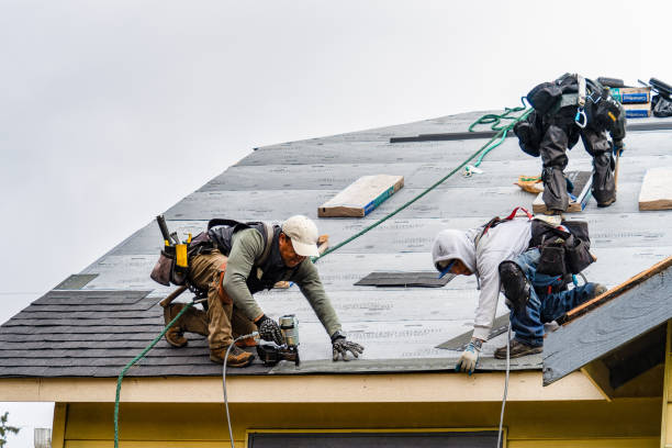 Professional Gutter Installation technician working in Point Harbor, NC